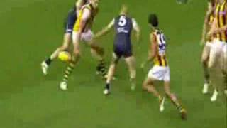 Cyril Rioli Hawthorn Hawks "The Magic Man" Geoffrey Gurrumul Yunupingu - Bapa