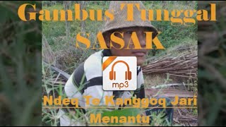 Download lagu Gambus Tunggal Sasak || NDEK TEKANGGOK JARI MENANTU mp3