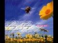 Matthew Sweet - In My Tree