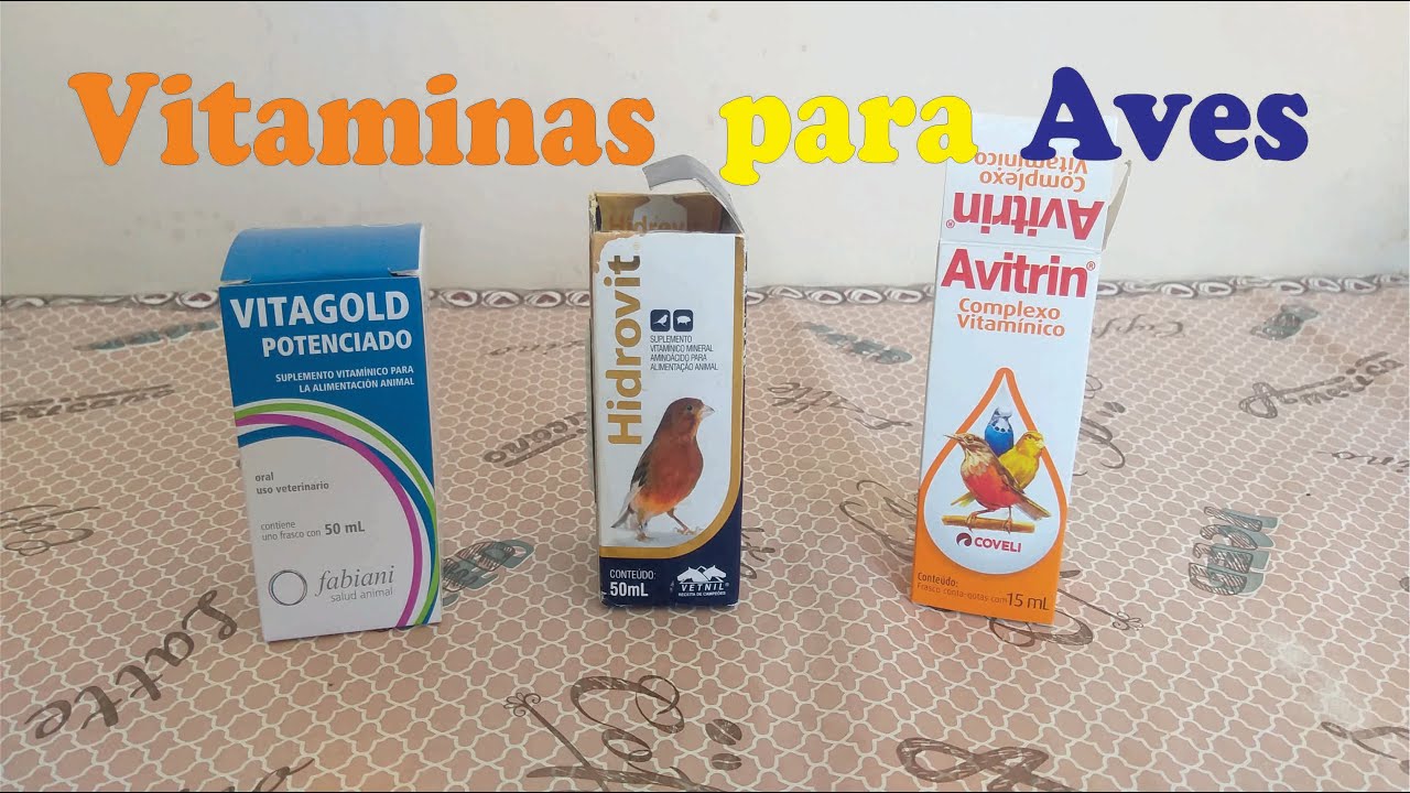 Vitaminas para Aves - Como e Quando Usar