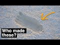 The world's most heavily debated footprints