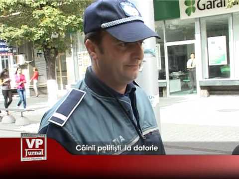 Câinii polițiști, la datorie