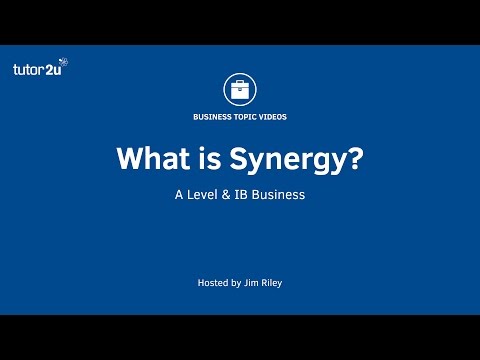 Business Growth Strategy - Synergy