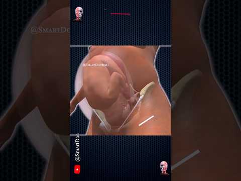 39 Weeks Pregnant | Preparing for Birth 👶🏻💓🤰🏻