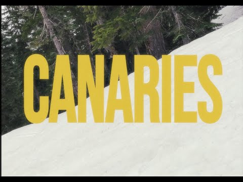 Cuffed Up -  Canaries (Official Music Video)