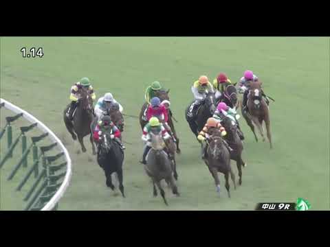 Satono Reinas (JPN) wins Saffron Sho race 9 at Nakayama 10/4/2020