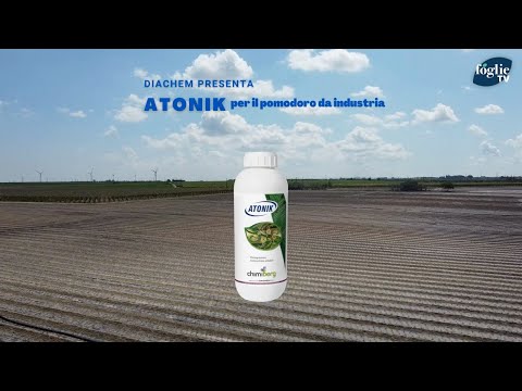 Atonik, il nuovo fitoregolatore Chimiberg