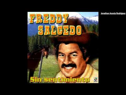 Freddy Salcedo Palmar llanero
