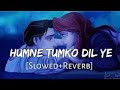Humne Tumko Dil Ye De Diya - Slowed Reverb | Gunaah | Alka Yagnik , Babul Supriyo | TUILP LOFI