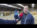 Tweede paard in Lelystad overleden aan Rhinovirus.