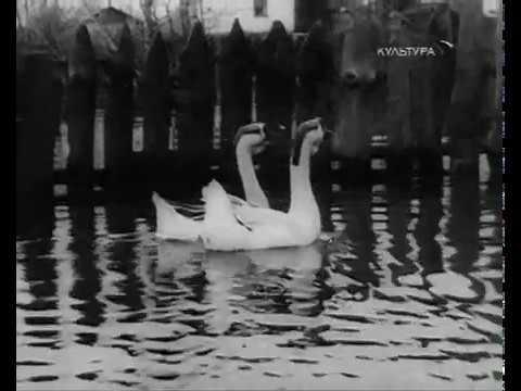 M-Eject - Special Mix for Subsignal.FM (UK) (dub techno / deep techno mix)