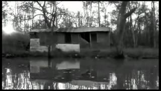 Down By Law   Jim Jarmusch   1986