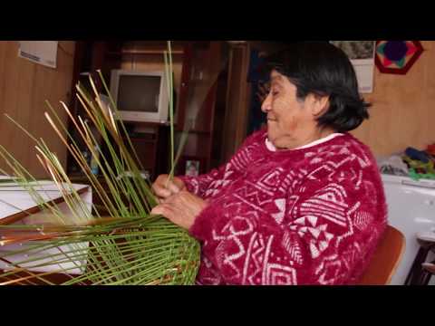 FibrasVegetalesAysén - Canasto de Junquillo