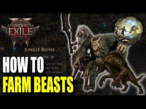 Companions are SO GOOD! How to Farm and Level the Best Companions
