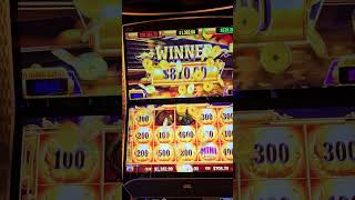 Big Win on Dragon Train slot in Reno