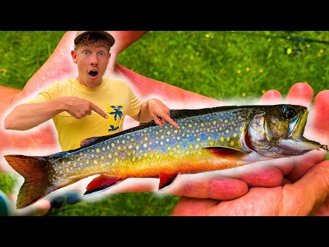 DE MOOISTE VIS DIE IK OOIT HEB GEVANGEN! - VLOG 92