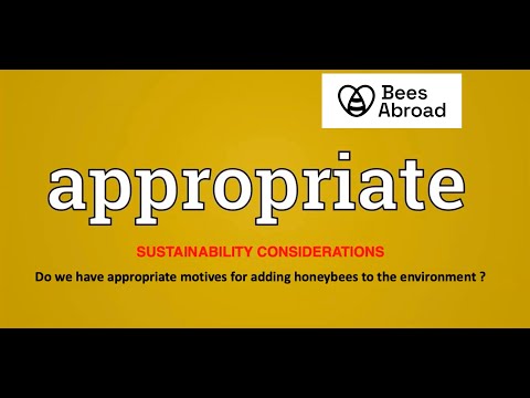 Bees Abroad | Developments in Sustainable Beekeeping