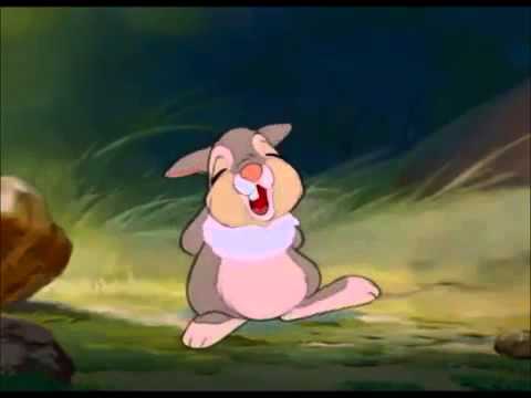Thumper   If you can't say something nice, don't say nothing at all