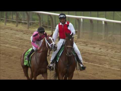 Catch A Glimpse Returns in Woodbine's Nassau Stakes