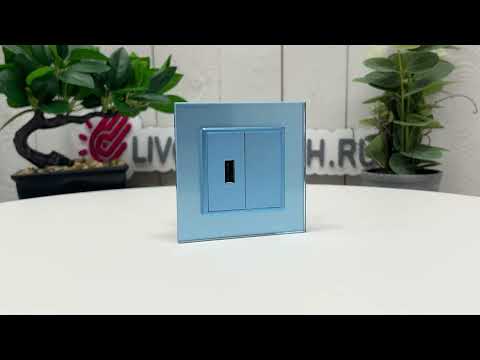 Розетка с одним USB type-A, блоком питания 5В 2.1А Livolo, 1 пост, цвет синий VL-C791USB-19