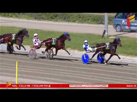 I Corsa del 25 MARZO 2023 - 3 Anni - Metri 2000