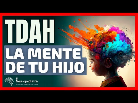 The ADHD BRAIN 🧠 This is how your child's mind works.