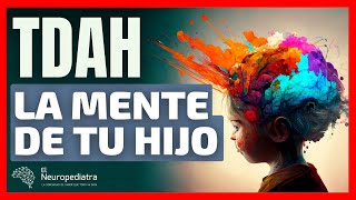 El CEREBRO del TDAH 🧠 Así funciona la mente de tu hijo.
