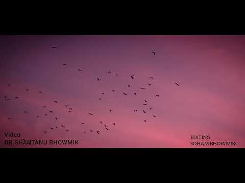 Nature I Melody I Music I Dr Shantanu Bhowmik I Soham Bhowmik