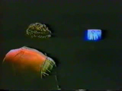 09- Ziad rahbani relatively calm concert back stage