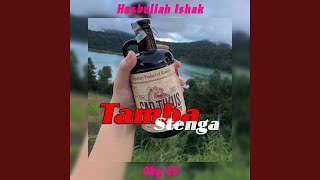 Download lagu Tamba Stenga mp3