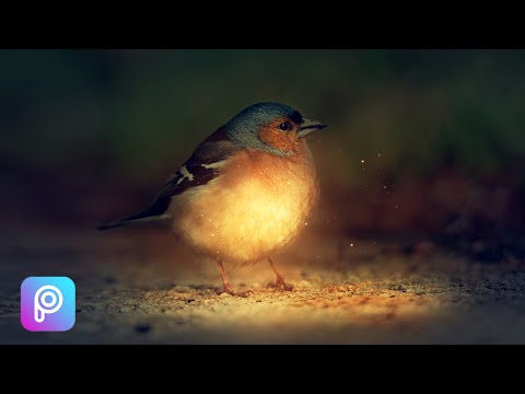 How To Make Levitation Photo Using Your Phone