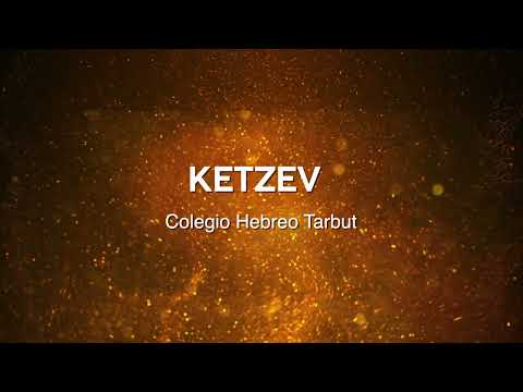 49 FESTIVAL AVIV - KETZEV