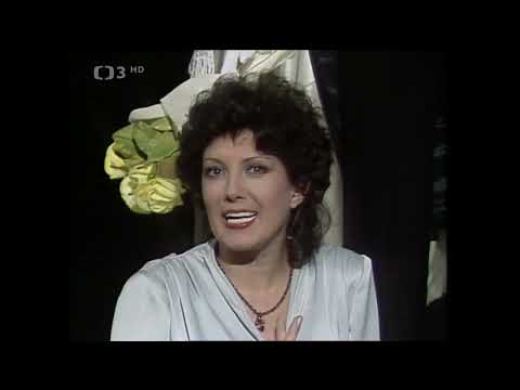 Marie Rottrová - Lhář