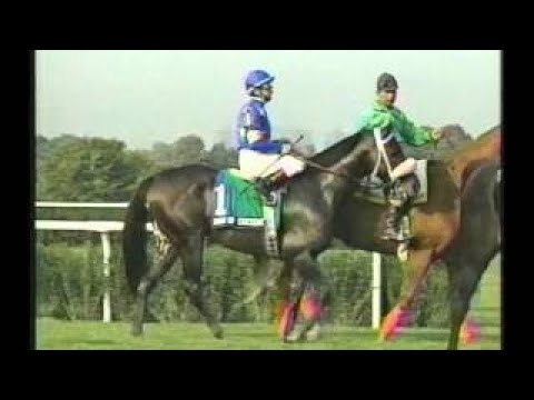 1993 Turf Classic Invitational Stakes ESPN Broadcast