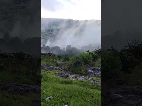 Fog       #song #love #music #travel #relaxing #nature #fog #relaxing #love #viralvideo #viralshort