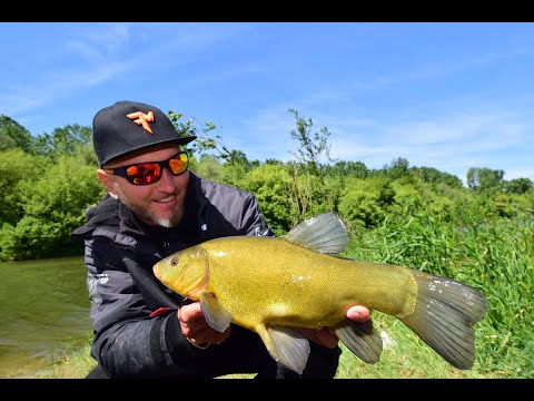 FEEDERMANIA - Compó horgászat vadvízen