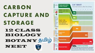 Carbon Capture and Storage  in Tamil I Environmental Issues I Botany I Class 12  | TNSCERT | NEET