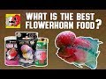 What is the Best Flowerhorn Food?