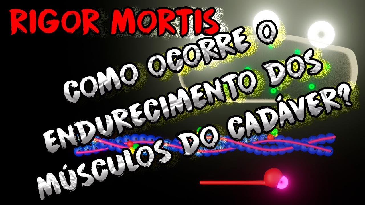 Rigidez Cadavérica - Rigor mortis