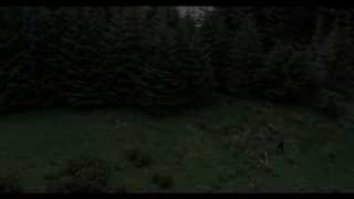 Jan Smit - Stilte in de Storm [videoclip] | VOLENDAM MUSIC