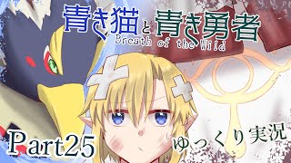 【BotW】青き猫と青き勇者　part25【ゆっくり実況】