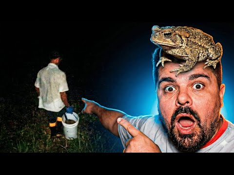 PEGANDO MEL COM SEU BILICO (PALMITAL-PR)🐝🍯