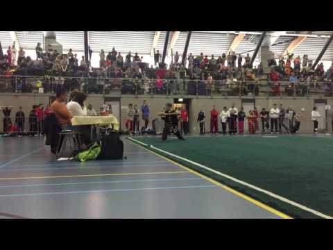 Wushu - Kung Fu 2017 Holland