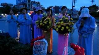 preview picture of video 'Thả phóng sinh cầu nguyện tại Hà Nam.'