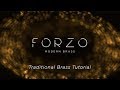 Video 5: Traditional Brass Tutorial