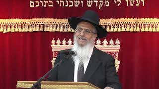הלכות ערבים | חושן משפט | הרב יורם סרי
