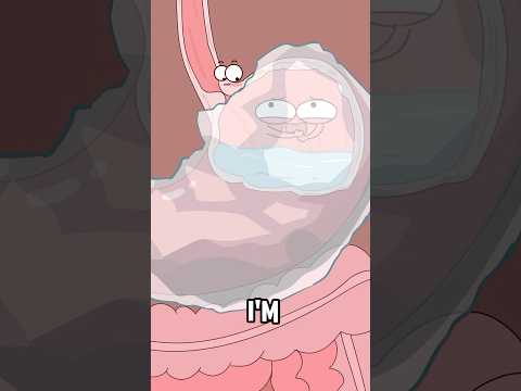 Why do you get stomachache after drinking ice water?#animation #funny #shorts