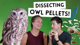 LIVING THE WAY Vlog // Dissecting Owl Pellets!