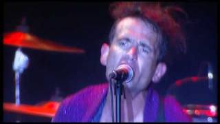 Manu Chao - Wampas - Live, Eurock Eennes de Belfort (2004)