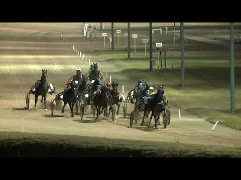 2021.11.20. 06. futam - 2021.ÉVI KINCSEM PARK KUPA XI. FUTAMA HENDIKEP